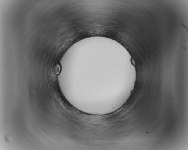 X0000102790040200809081100