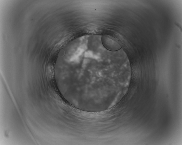 X0000102790043200809081059