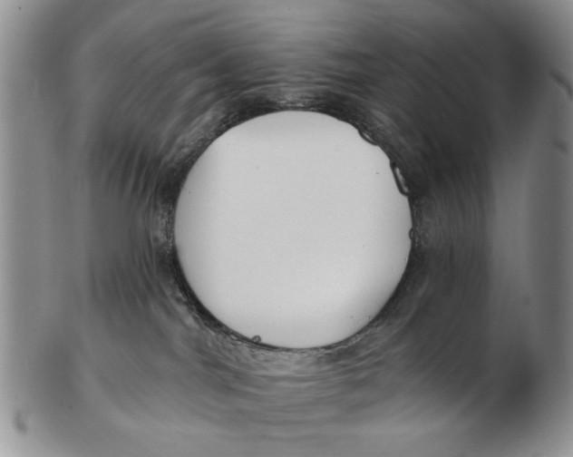 X0000102790044200809081059