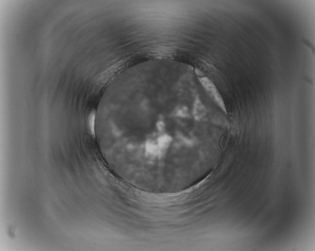 X0000102790047200809081059