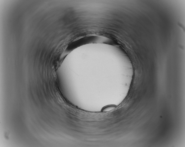 X0000102790048200809081059