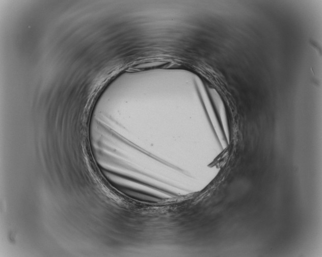 X0000102790049200809081059