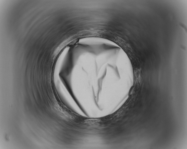 X0000102790051200809081059