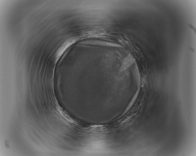 X0000102790052200809081059