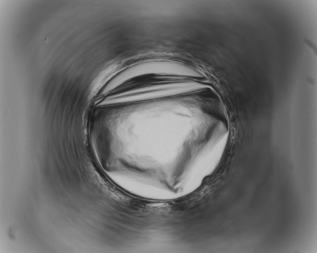 X0000102790053200809081059