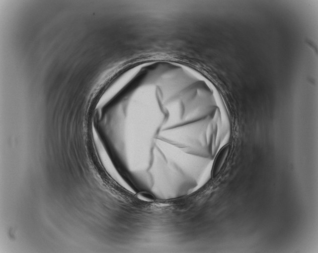 X0000102790055200809081059