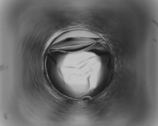 X0000102790056200809081059