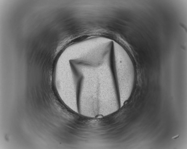 X0000102790059200809081059