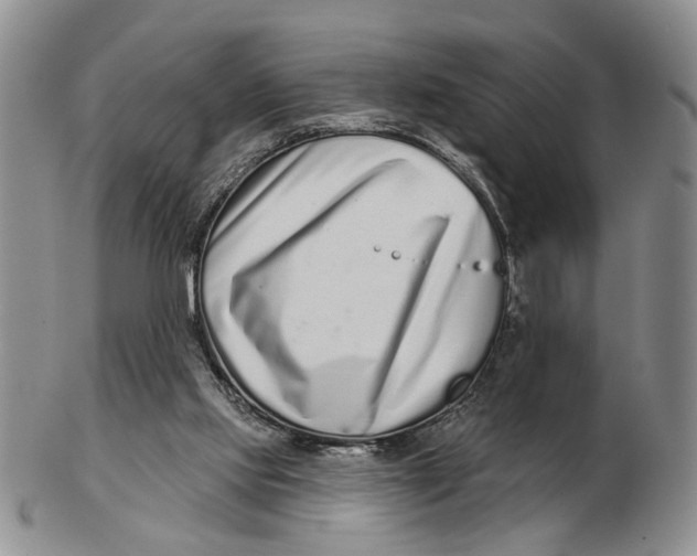 X0000102790061200809081059