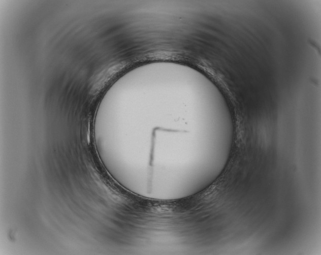 X0000102790062200809081059