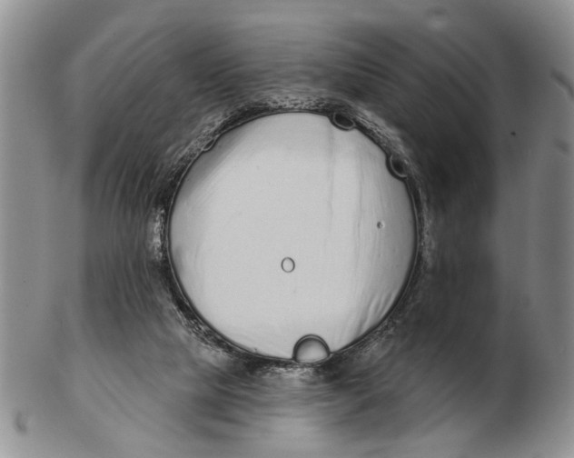 X0000102790065200809081059