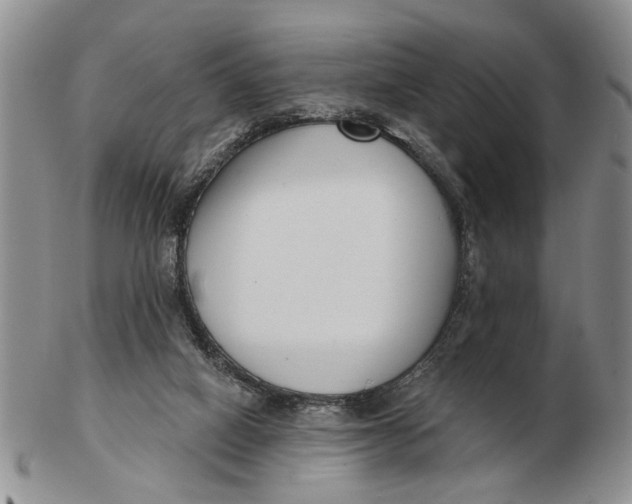 X0000102790066200809081059