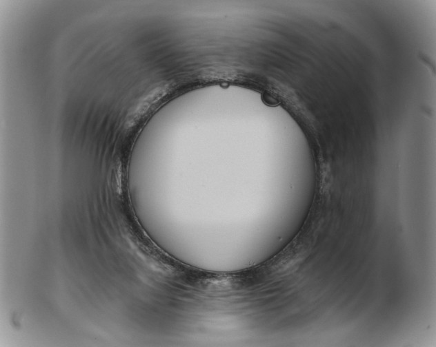 X0000102790068200809081059