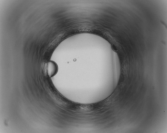 X0000102790070200809081059