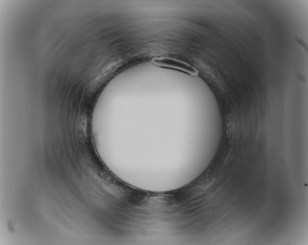 X0000102790072200809081059