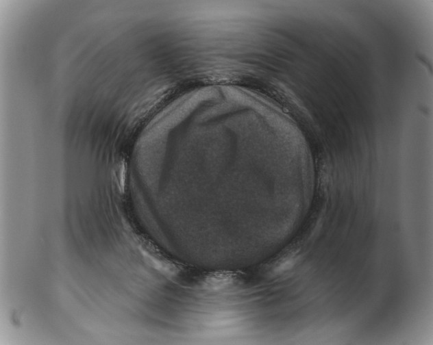 X0000102790076200809081059