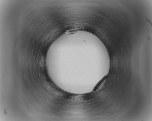 X0000102790078200809081059