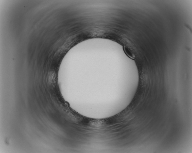 X0000102790079200809081059