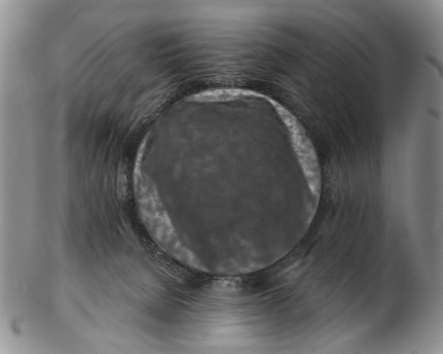 X0000102790080200809081059