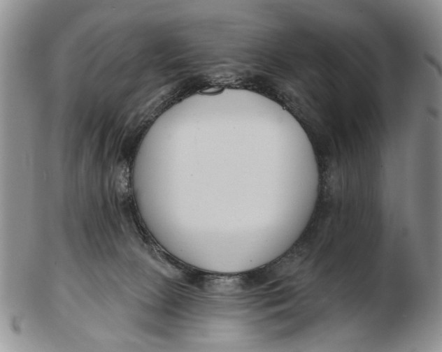 X0000102790081200809081059