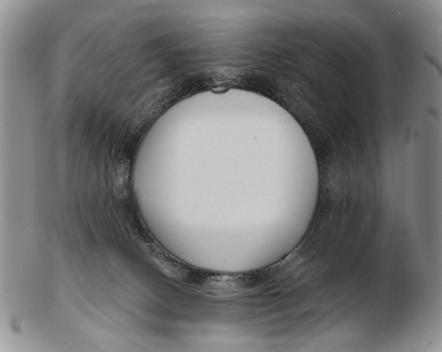 X0000102790082200809081059