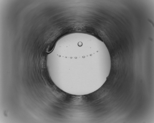 X0000102790083200809081059