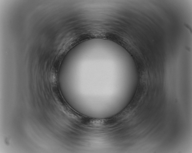 X0000102790084200809081059