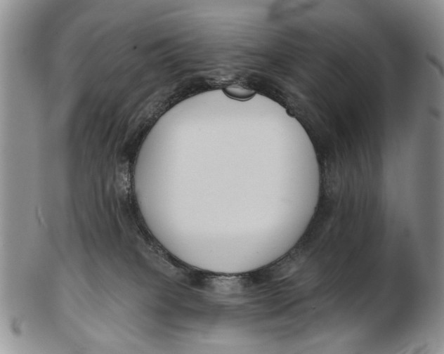 X0000102790085200809081059