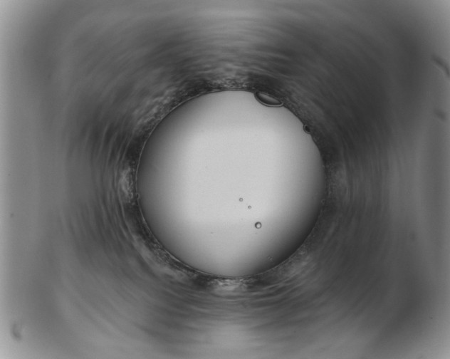 X0000102790088200809081059