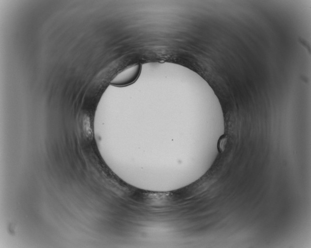 X0000102790089200809081059