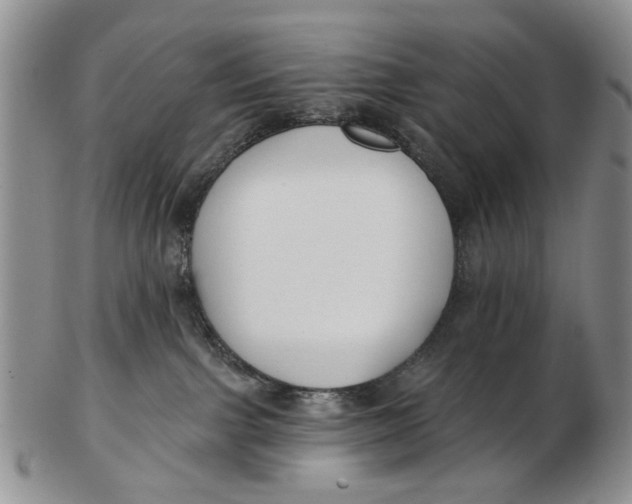 X0000102790091200809081059