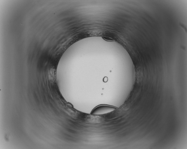 X0000102790093200809081059