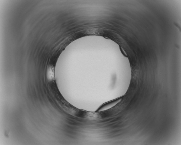 X0000102790095200809081059