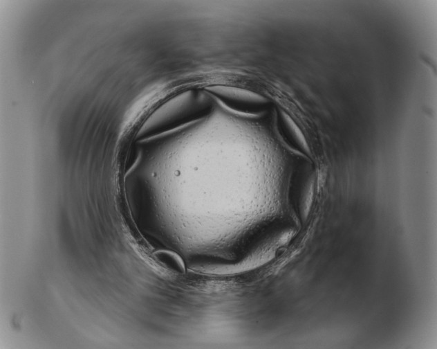 X0000102790101200809081059