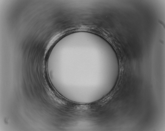 X0000102790102200809081059