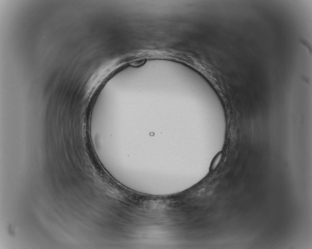 X0000102790103200809081059