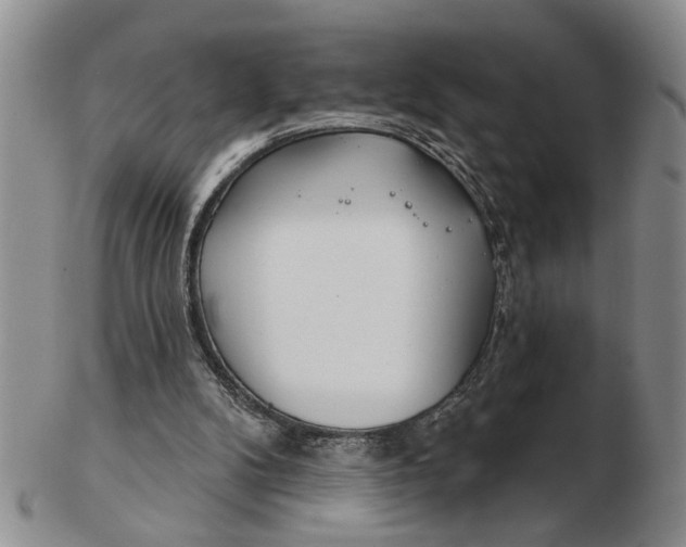 X0000102790104200809081059