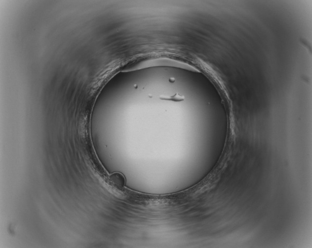 X0000102790105200809081059