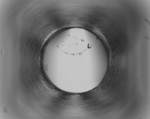 X0000102790108200809081059