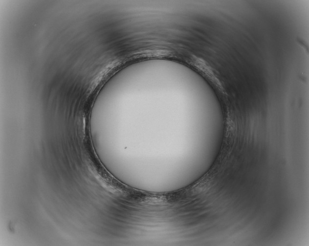 X0000102790110200809081059