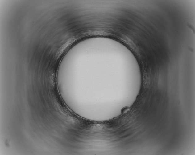 X0000102790111200809081059