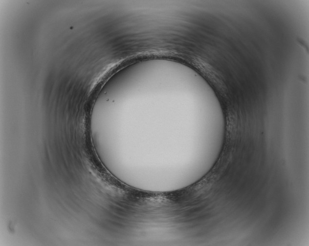 X0000102790112200809081059