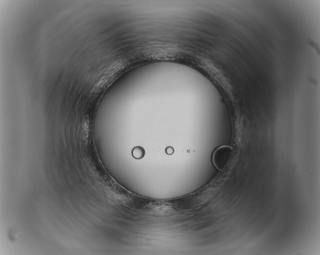 X0000102790113200809081058