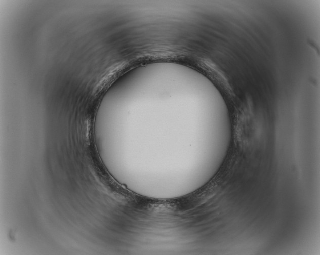 X0000102790115200809081058