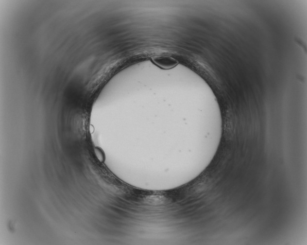 X0000102790119200809081058