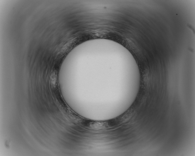 X0000102790129200809081058