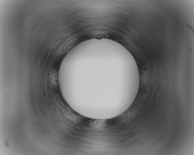 X0000102790138200809081058