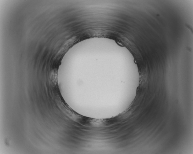 X0000102790142200809081058