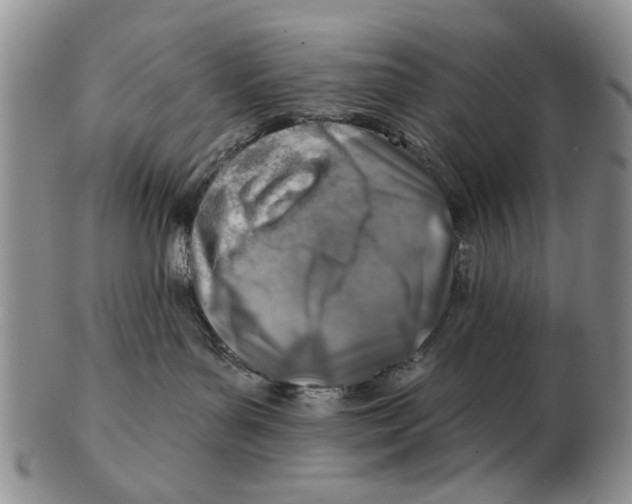 X0000102790143200809081058