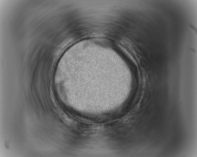 X0000102790145200809081057